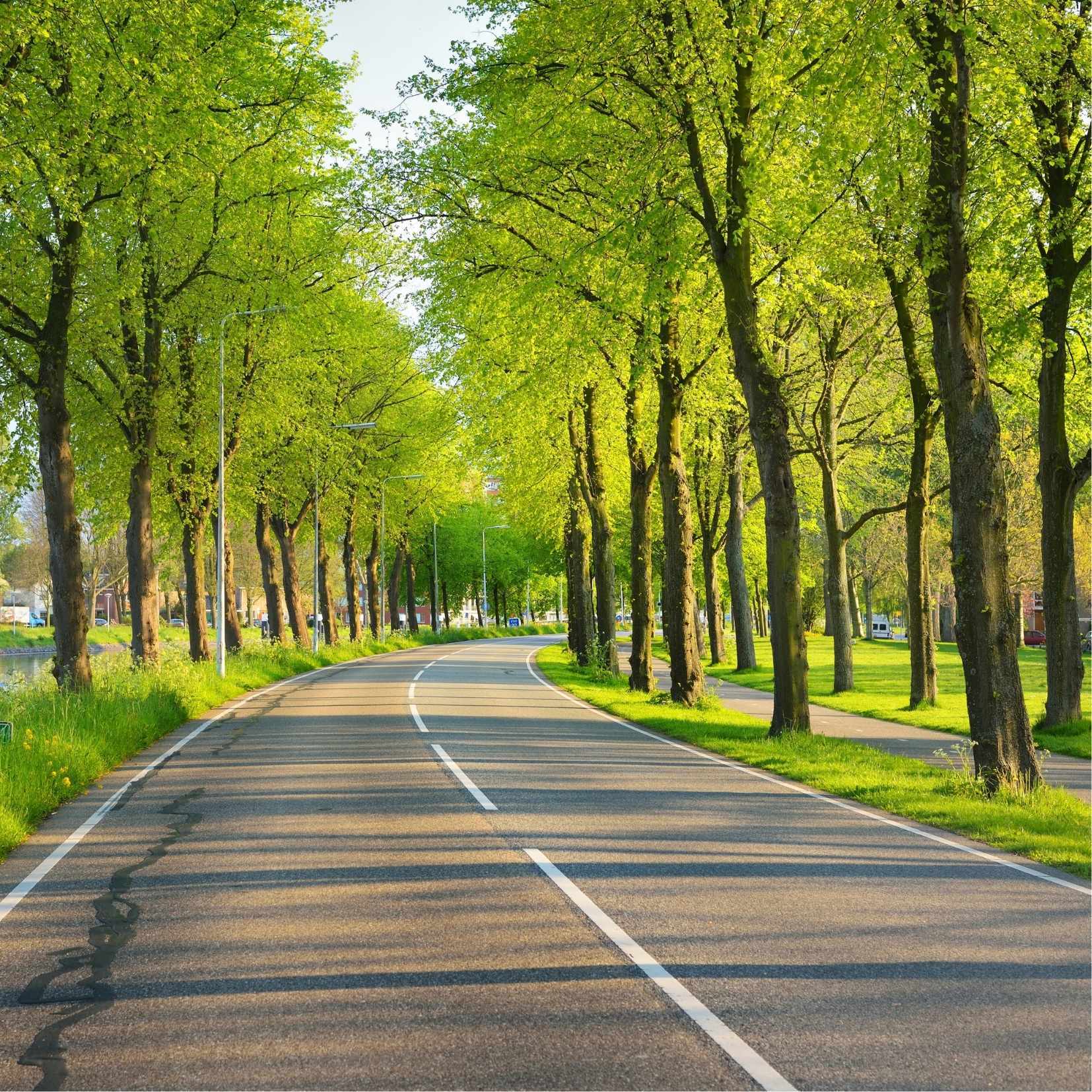 5 Tipps für sicheres Fahren im Frühling